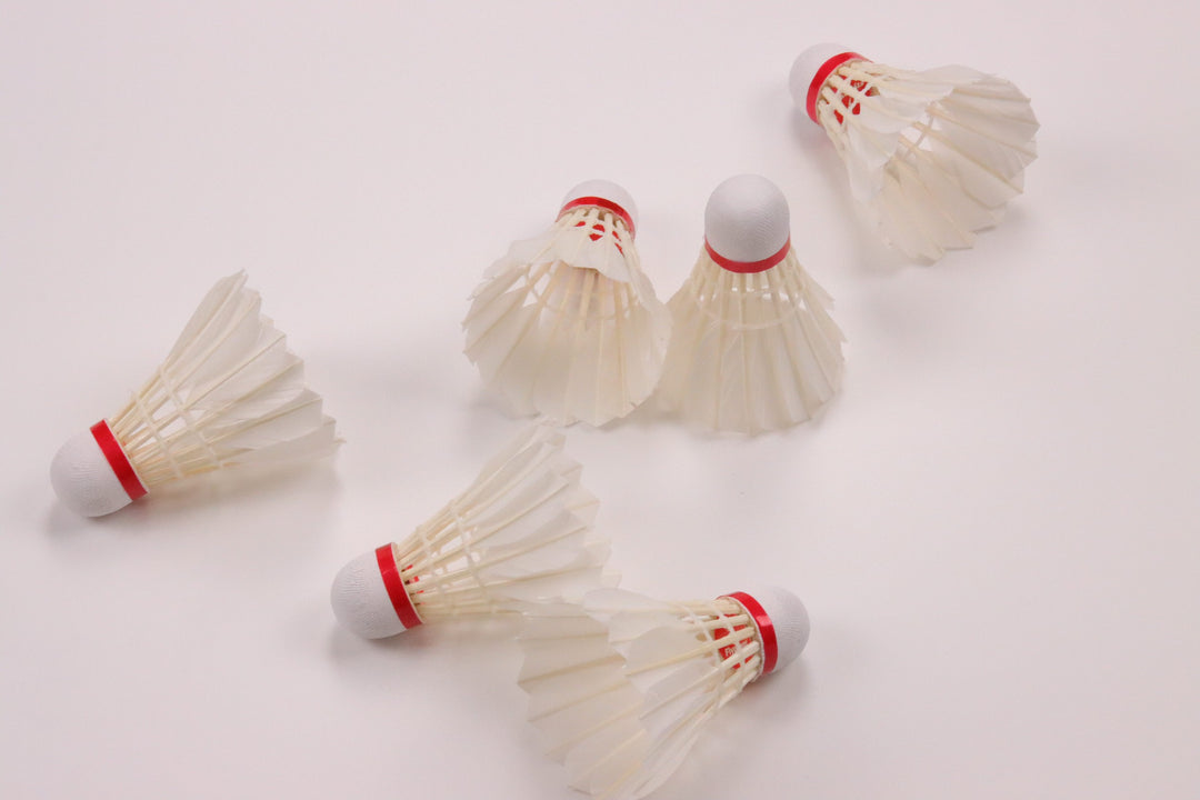 Shuttlecock RED（10ダース）