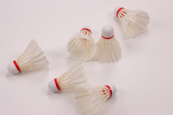 Flypower Shuttlecock RED（2ダース）